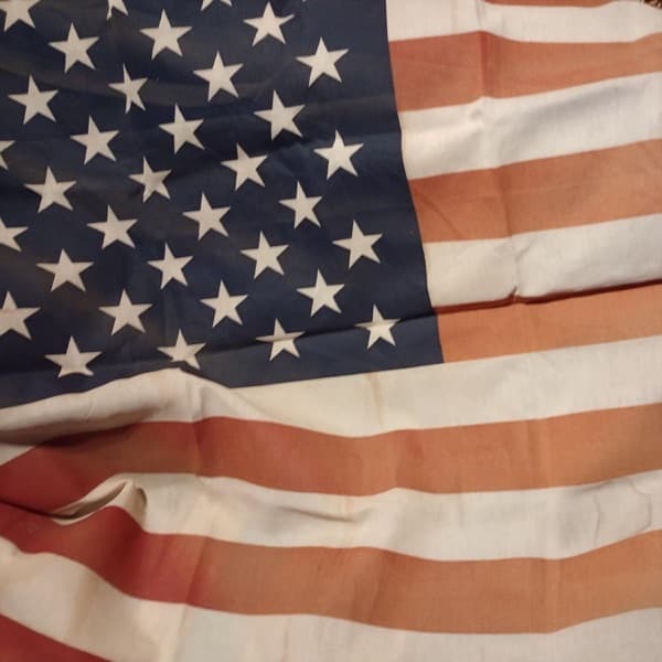 Cover art for She's Red White and Blue by Gary L. Clark
